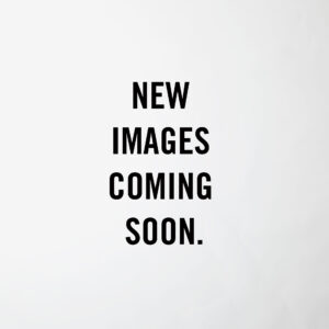 Lead Carbon AGM Battery - RM12-70LC